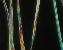 Ramie fiber with very fine fiber tendril.