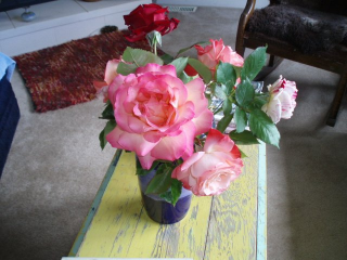 Beautiful roses